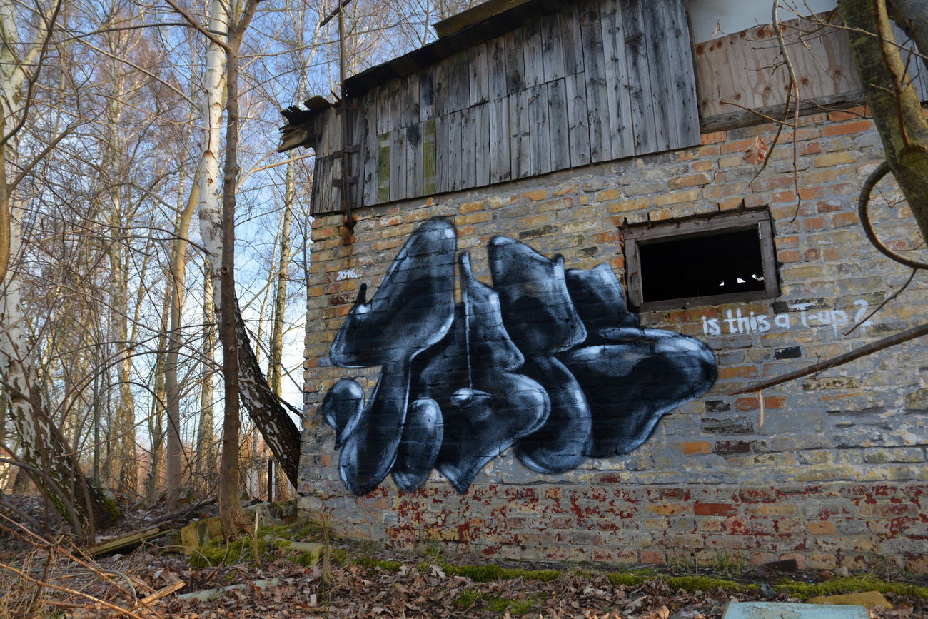 Graffiti Bombing - Photo by NOIIO3 - tups, tup, throwup (2016)