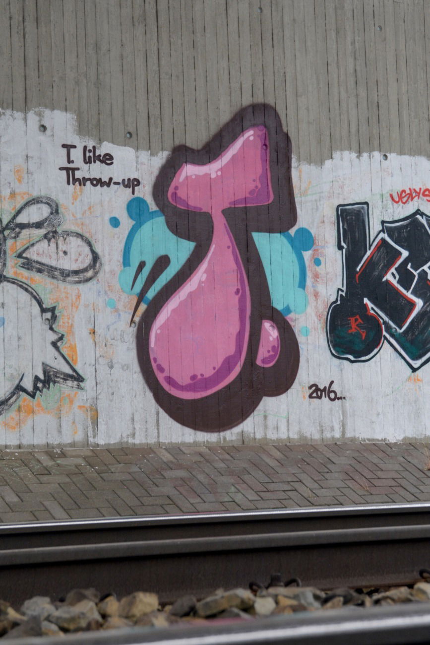 Graffiti Bombing - Photo by NOIIO3 - tup, tups, throwup (2016)