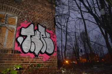 Graffiti Bombing in Frankfurt (Oder) - Photo by NOIIO3 - tups, tup, throwup (2016)