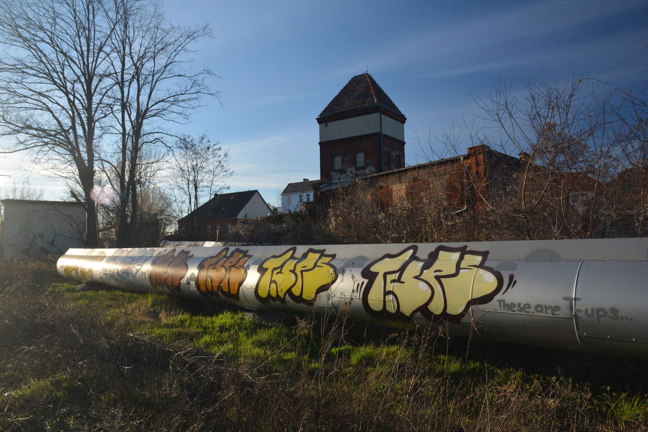 Graffiti Bombing - Photo by NOIIO3 - tups (2016)
