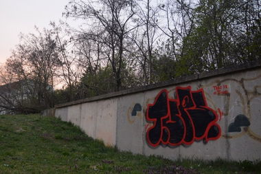 Graffiti Bombing - Photo by NOIIO3 - tups (2016)