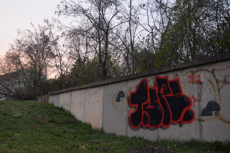 Graffiti Bombing - Photo by NOIIO3 - tups (2016)