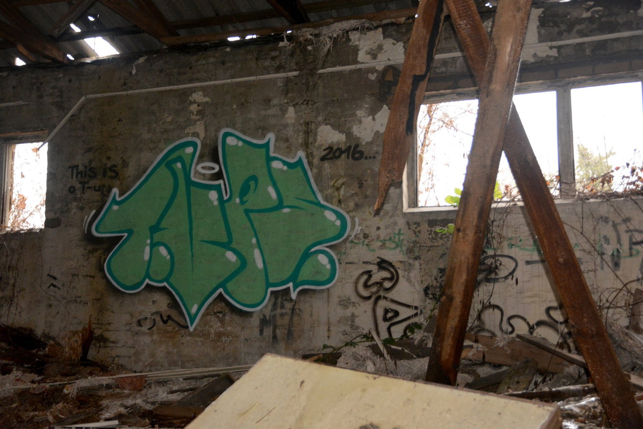 Graffiti Wall in Frankfurt (Oder) - Photo by NOIIO3 - tups, tup, throwup (2016)