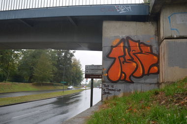 Graffiti Bombing in Frankfurt (Oder) - Photo by NOIIO3 - tups, thisisatup, throwup (2016)