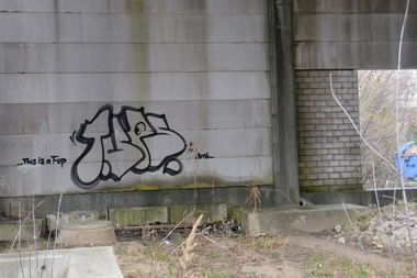 Graffiti Bombing - Photo by NOIIO3 - tups, tup