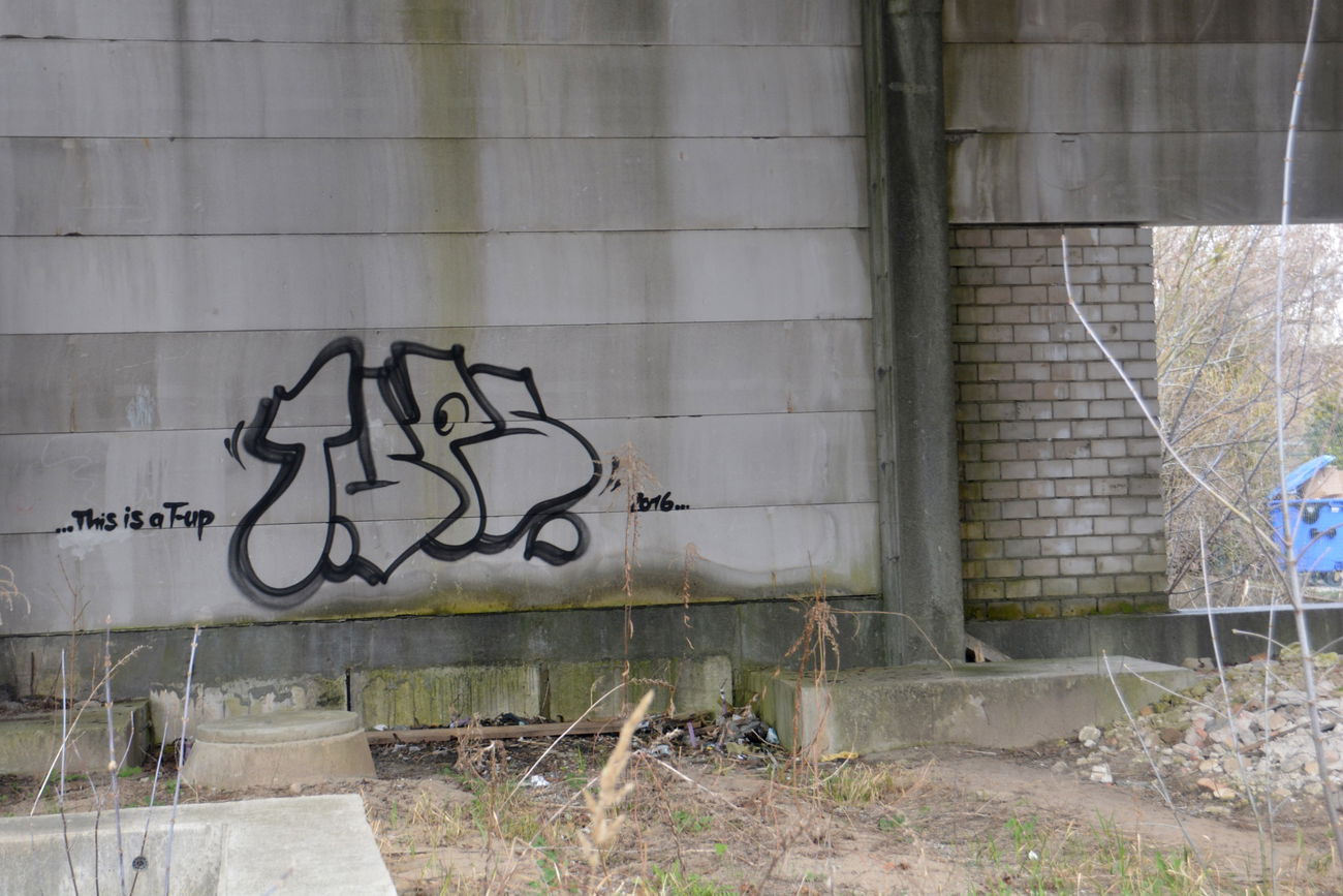 Graffiti Bombing - Photo by NOIIO3 - tups, tup