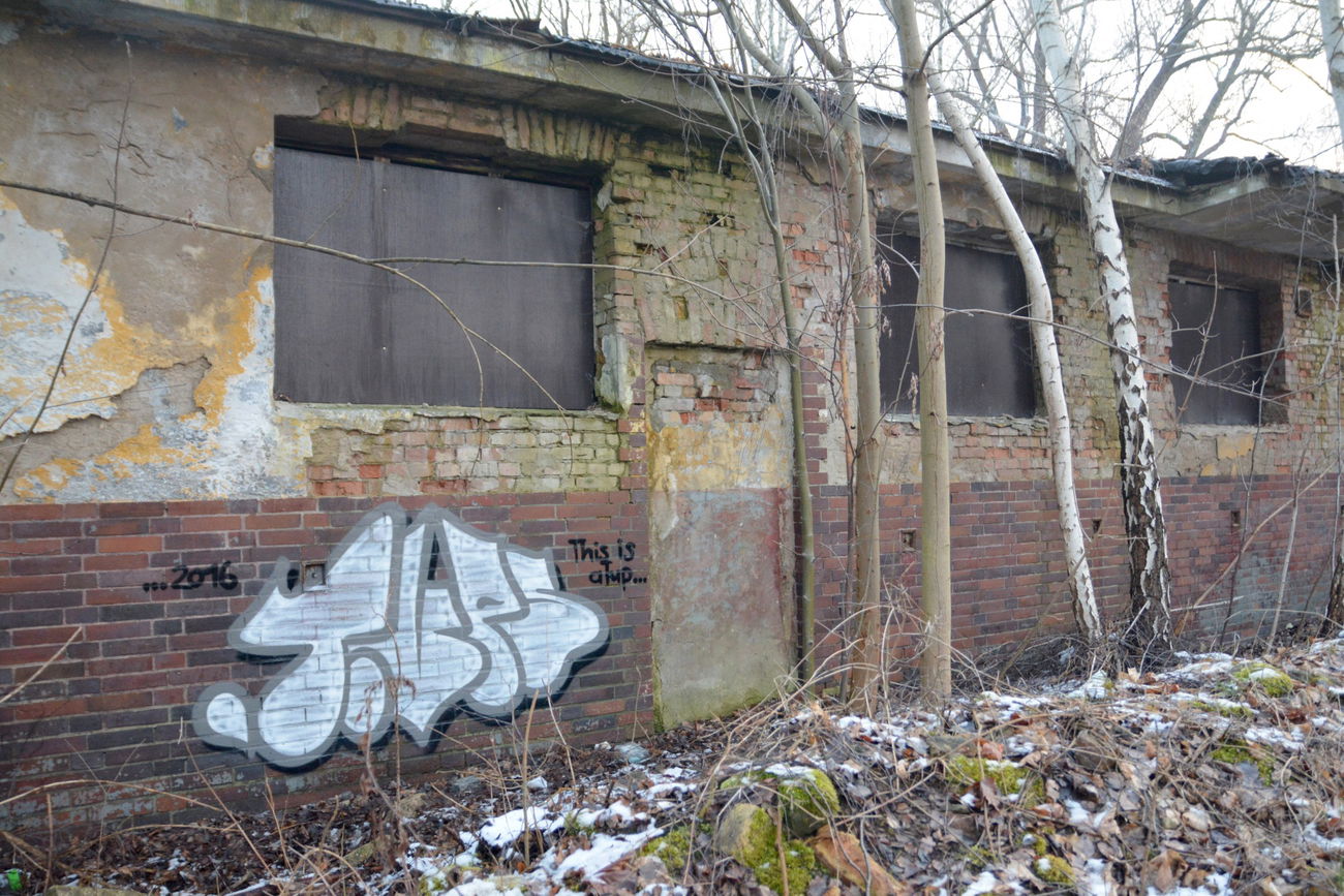 Graffiti Bombing in Frankfurt (Oder) - Photo by NOIIO3 - tups, throwup, tup (2016)