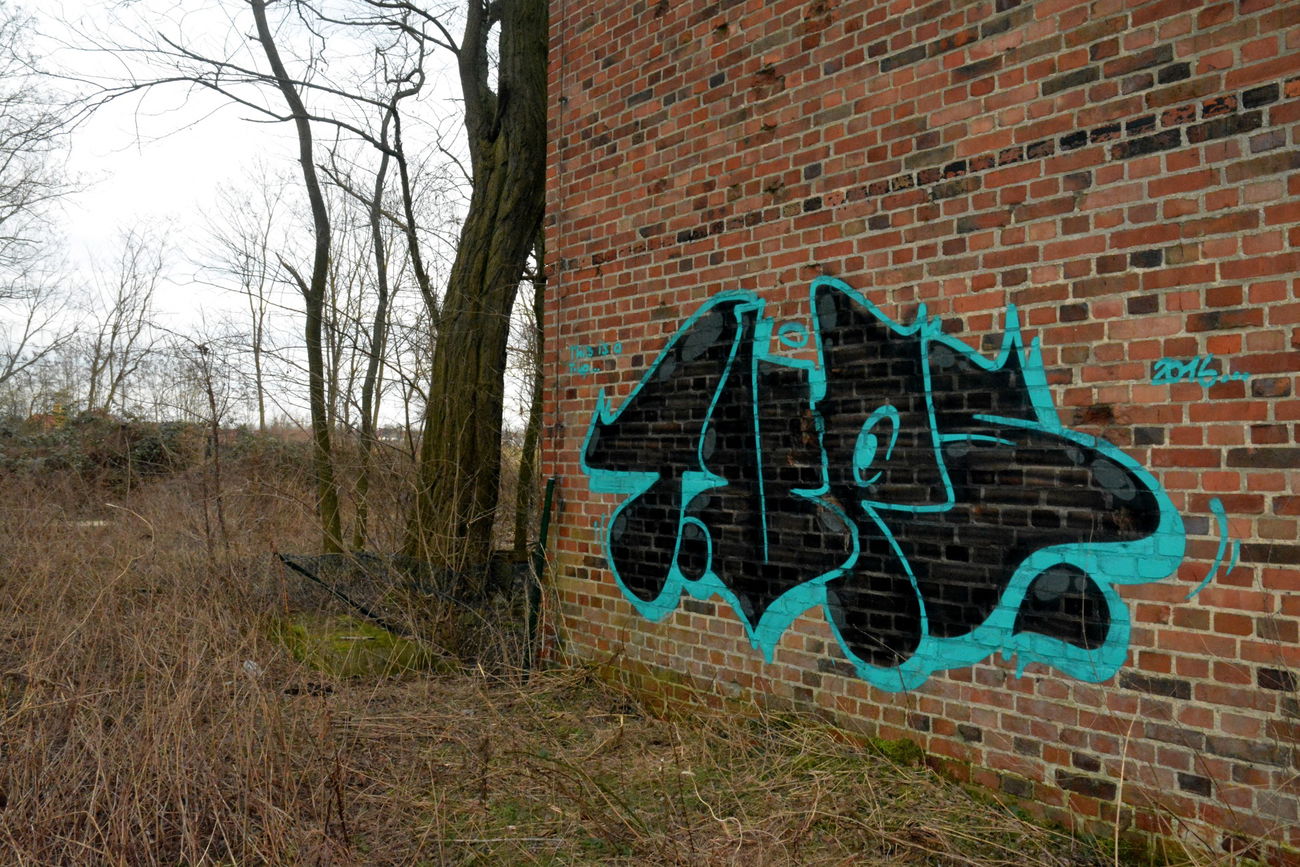 Graffiti Bombing - Photo by NOIIO3 - tups, tup, thisisatup (2016)