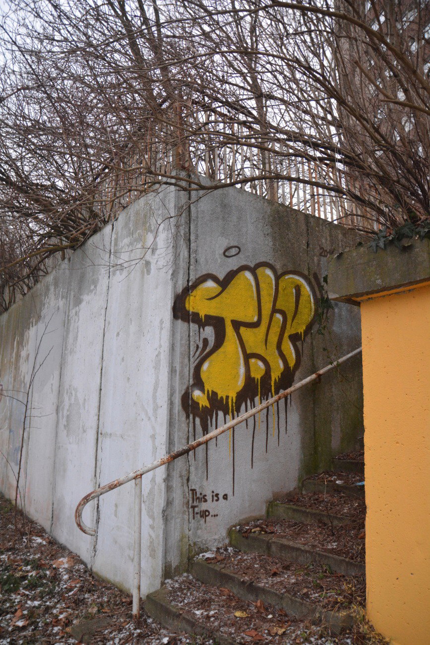 Graffiti Bombing - Photo by NOIIO3 - t-ups, t-up, throwup (2016)