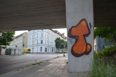 Graffiti Bombing in Frankfurt (Oder) - Photo by NOIIO3 - tups, tup (2016)