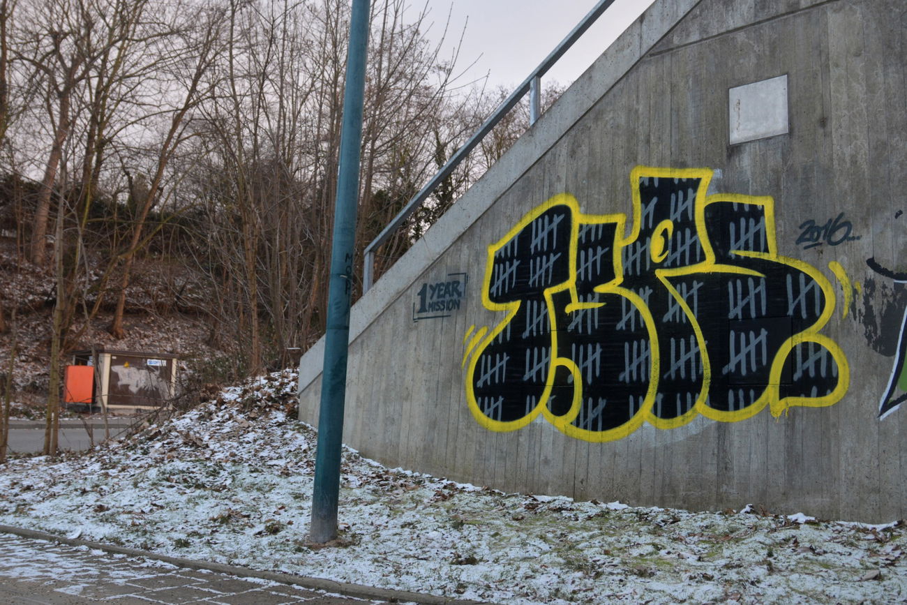 Graffiti Bombing - Photo by NOIIO3 - tups (2016)