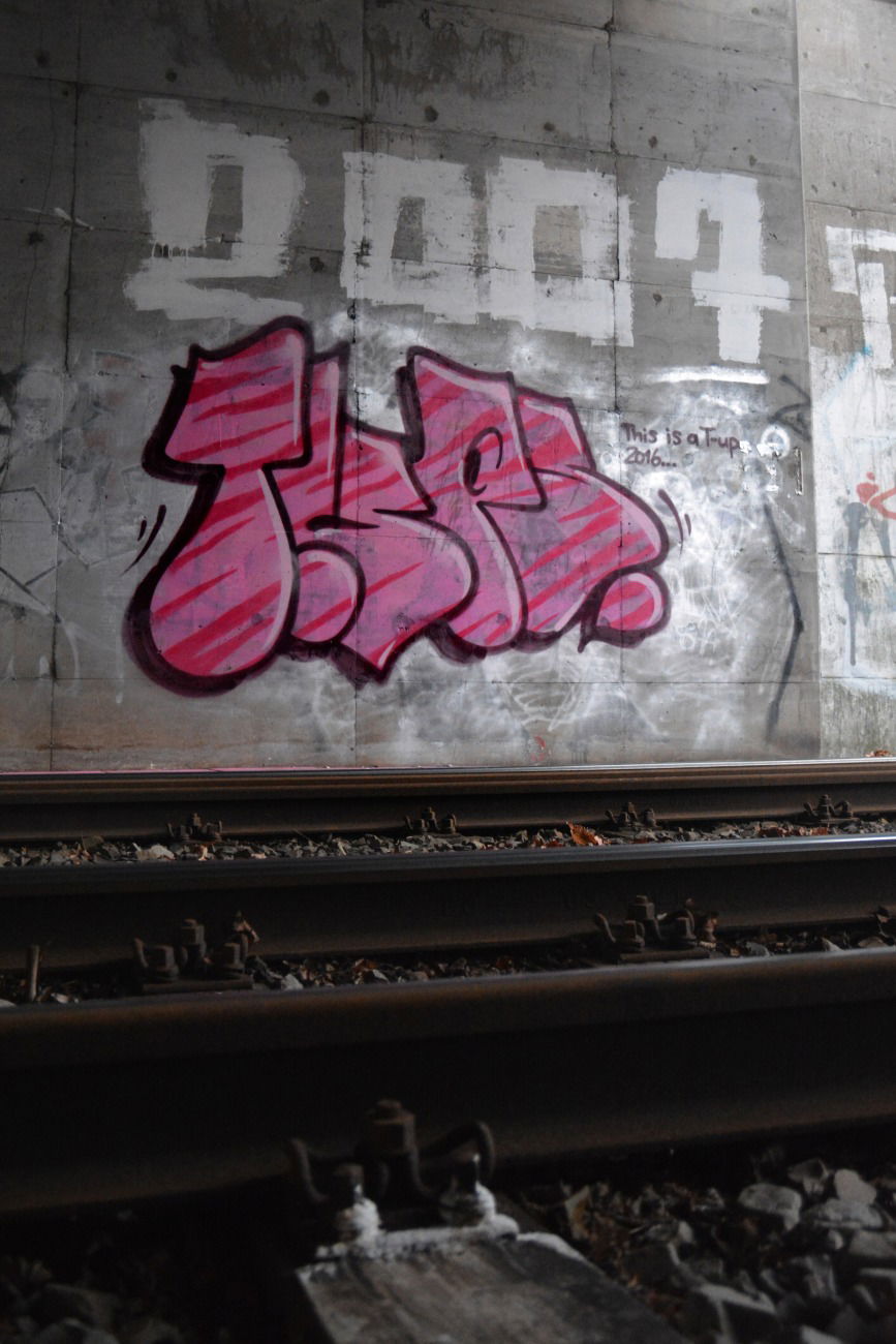 Graffiti Bombing - Photo by NOIIO3 - tups, tup, throwup (2016)