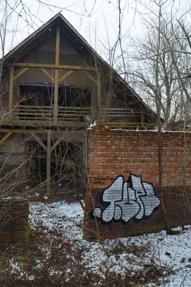 Graffiti Bombing - Photo by NOIIO3