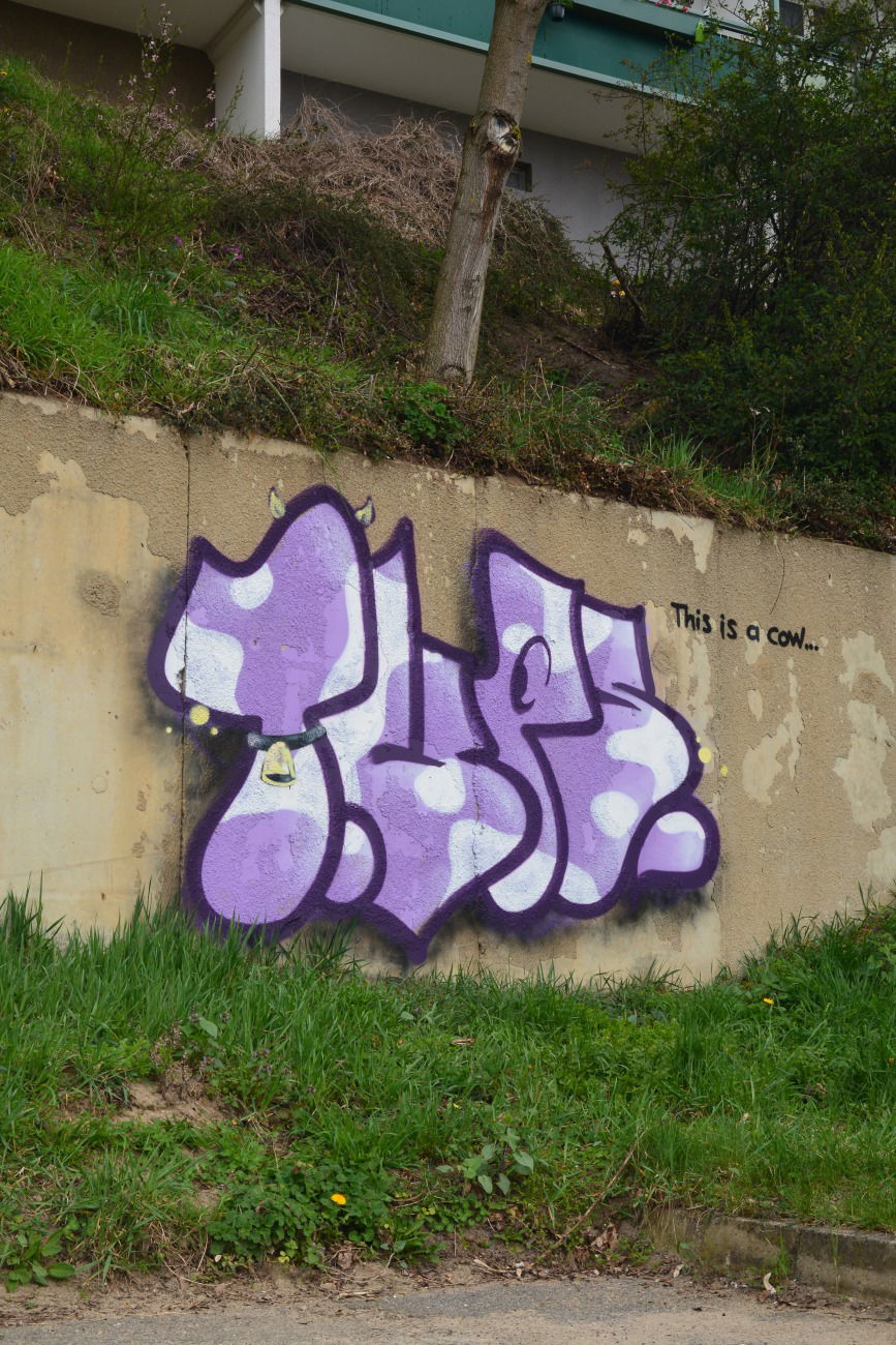 Graffiti Bombing - Photo by NOIIO3 - tups, tup, throwup (2016)