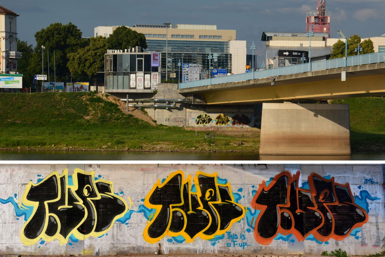 Graffiti Bombing - Photo by NOIIO3 - tups (2016)