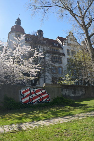 Graffiti Bombing - Photo by NOIIO3 - tups, tup (2016)