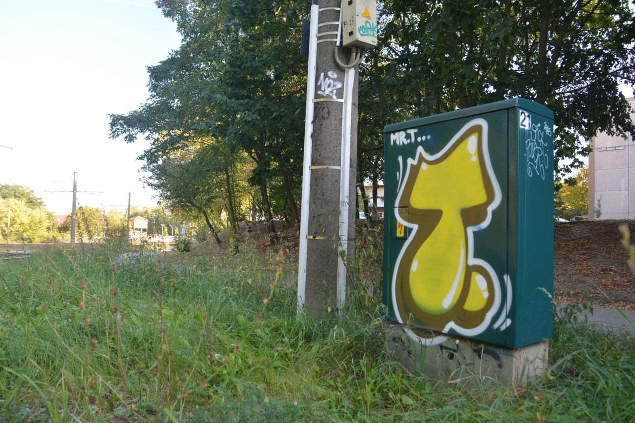 Graffiti Bombing - Photo by NOIIO3 - tups, throwup, tup (2016)