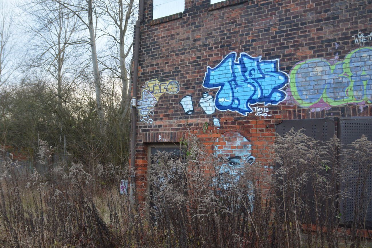 Graffiti Bombing in Frankfurt (Oder) - Photo by NOIIO3 - tups, tup, throwup (2016)