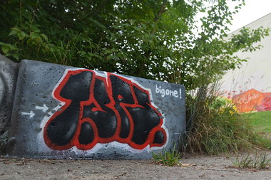 Graffiti Wall - Photo by NOIIO3 - tups, tup, t (2016)