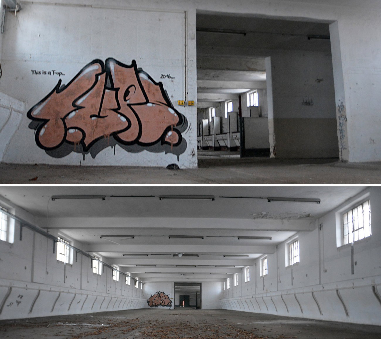 Graffiti Wall - Photo by NOIIO3 - tups, throwup, tup (2016)