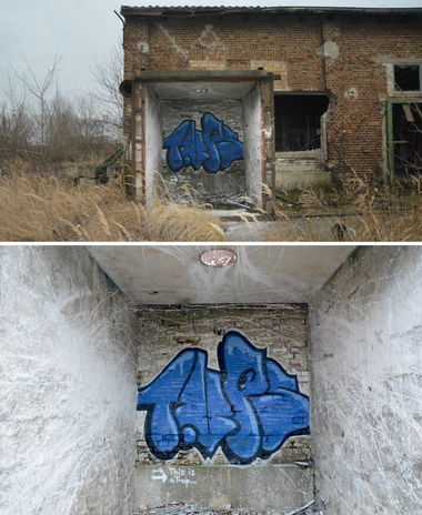 Graffiti Artwork in Frankfurt (Oder) - Photo by NOIIO3 - tups, tup, thijisatup (2016)