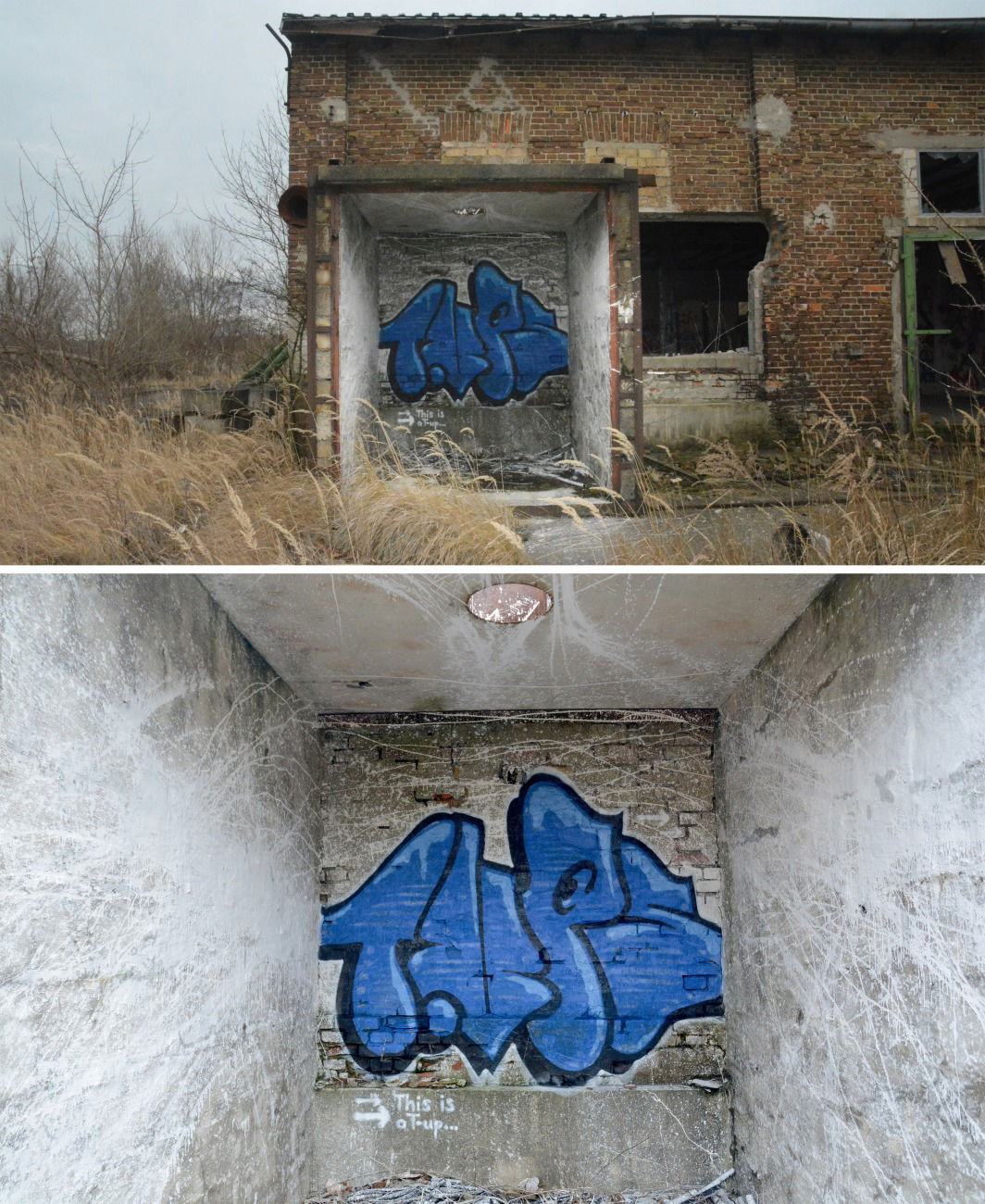 Graffiti Artwork in Frankfurt (Oder) - Photo by NOIIO3 - tups, tup, thijisatup (2016)