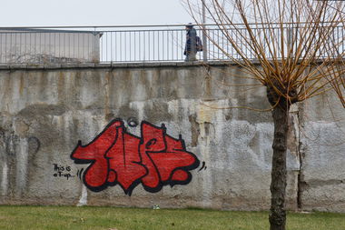 Graffiti Bombing - Photo by NOIIO3 - tups, tup, thisisatup (2016)