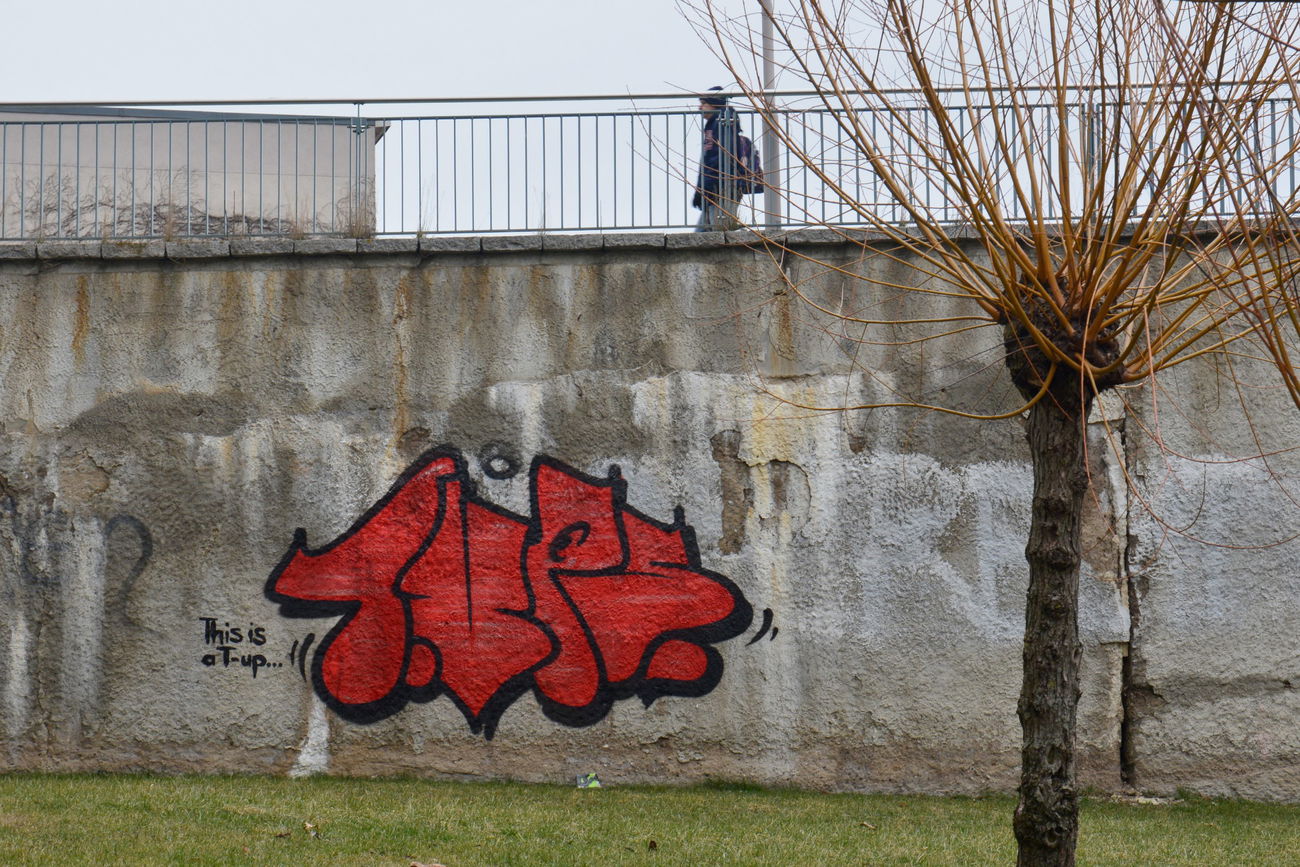 Graffiti Bombing - Photo by NOIIO3 - tups, tup, thisisatup (2016)