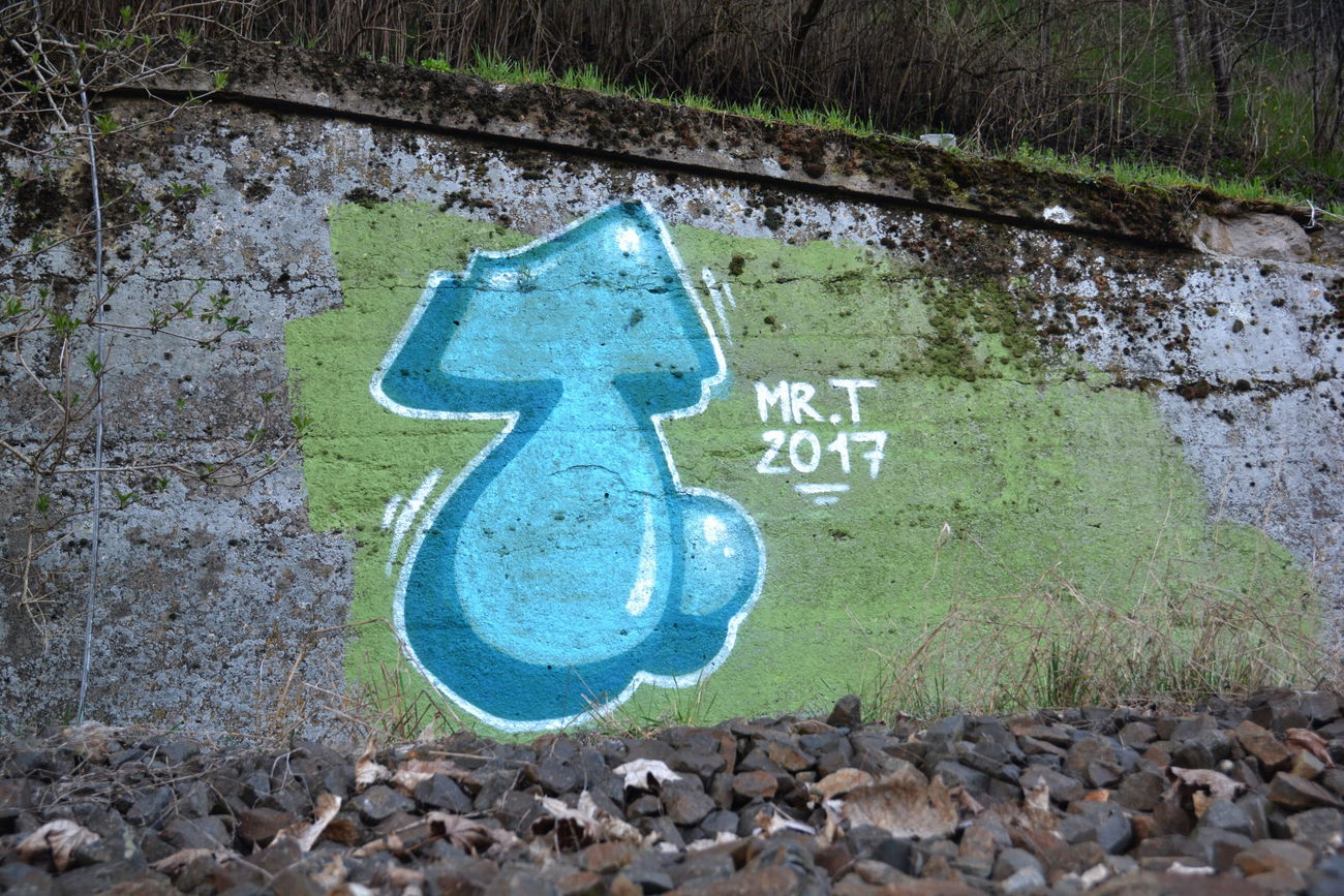 Graffiti in Frankfurt (Oder) - Photo by NOIIO3 - tups, thisisathrowup, throwup (2017)