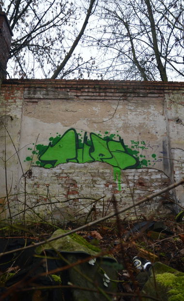 Graffiti Bombing - Photo by NOIIO3 - tups, tup, thowup (2016)