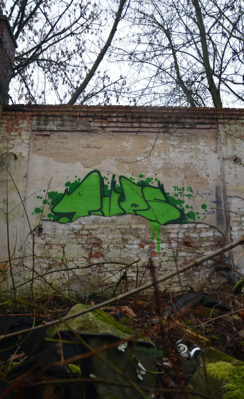 Graffiti Bombing - Photo by NOIIO3 - tups, tup, thowup (2016)
