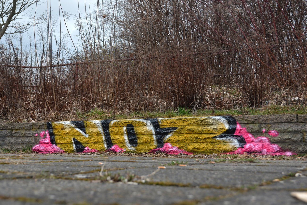 Graffiti Bombing - Photo by NOIIO3 (2016)