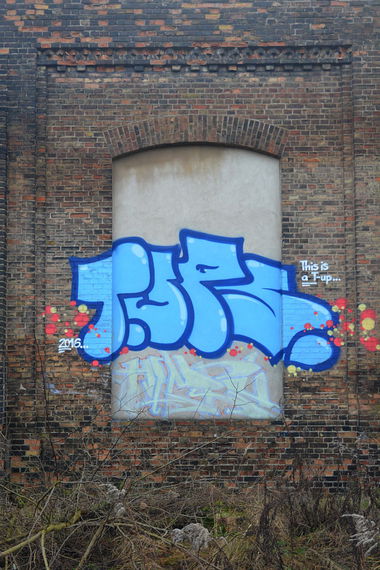 Graffiti Bombing in Frankfurt (Oder) - Photo by NOIIO3 - tups, tup, throwup (2016)