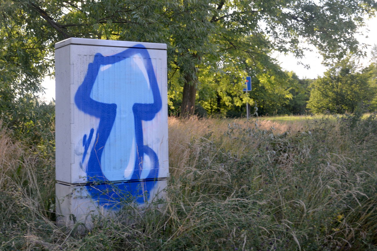 Graffiti Bombing - Photo by NOIIO3 - tup, tups, throwup (2016)