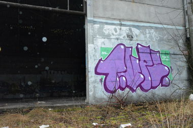 Graffiti Bombing - Photo by NOIIO3 - tups, tup, thowup (2016)