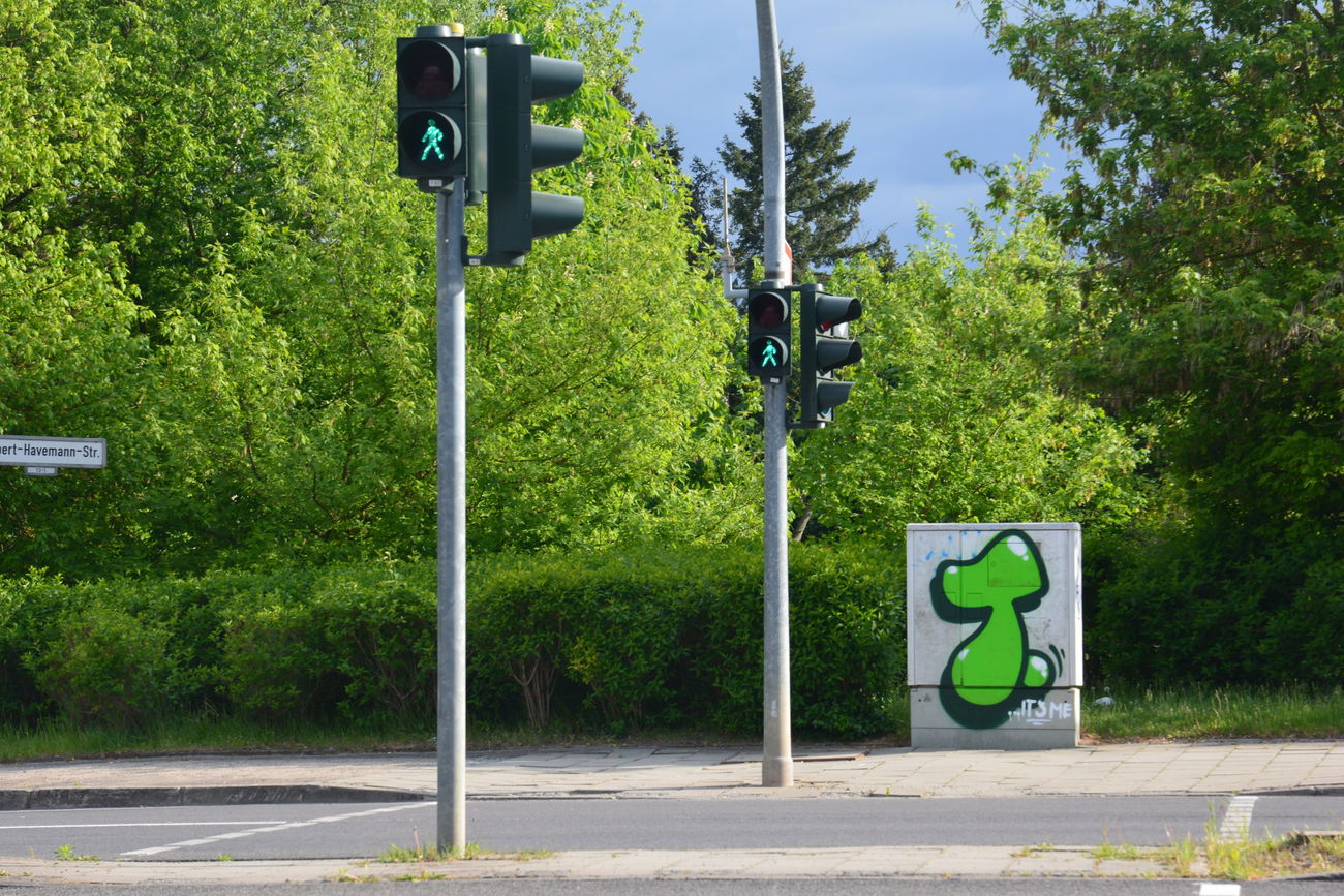 Graffiti Bombing - Photo by NOIIO3 - tups, throwup, tup (2016)