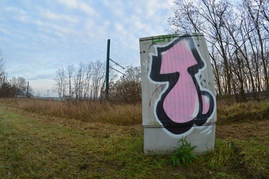 Graffiti Bombing in Frankfurt (Oder) - Photo by NOIIO3 - tups, tup, throwup (2016)