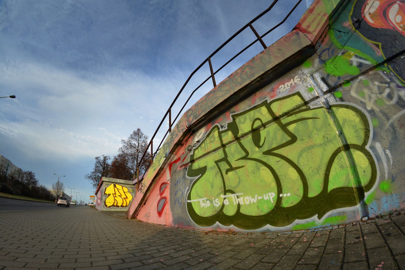 Graffiti Wall - Photo by NOIIO3 - tups, tup, throwup (2016)