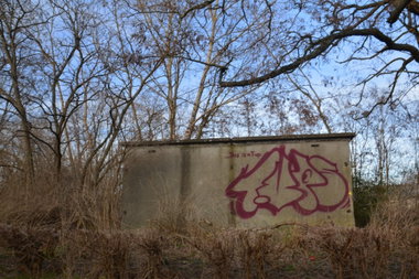 Graffiti Wall in Frankfurt (Oder) - Photo by NOIIO3 - tups, tup, thowup (2016)