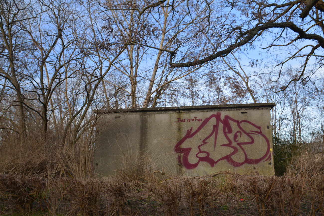 Graffiti Wall in Frankfurt (Oder) - Photo by NOIIO3 - tups, tup, thowup (2016)