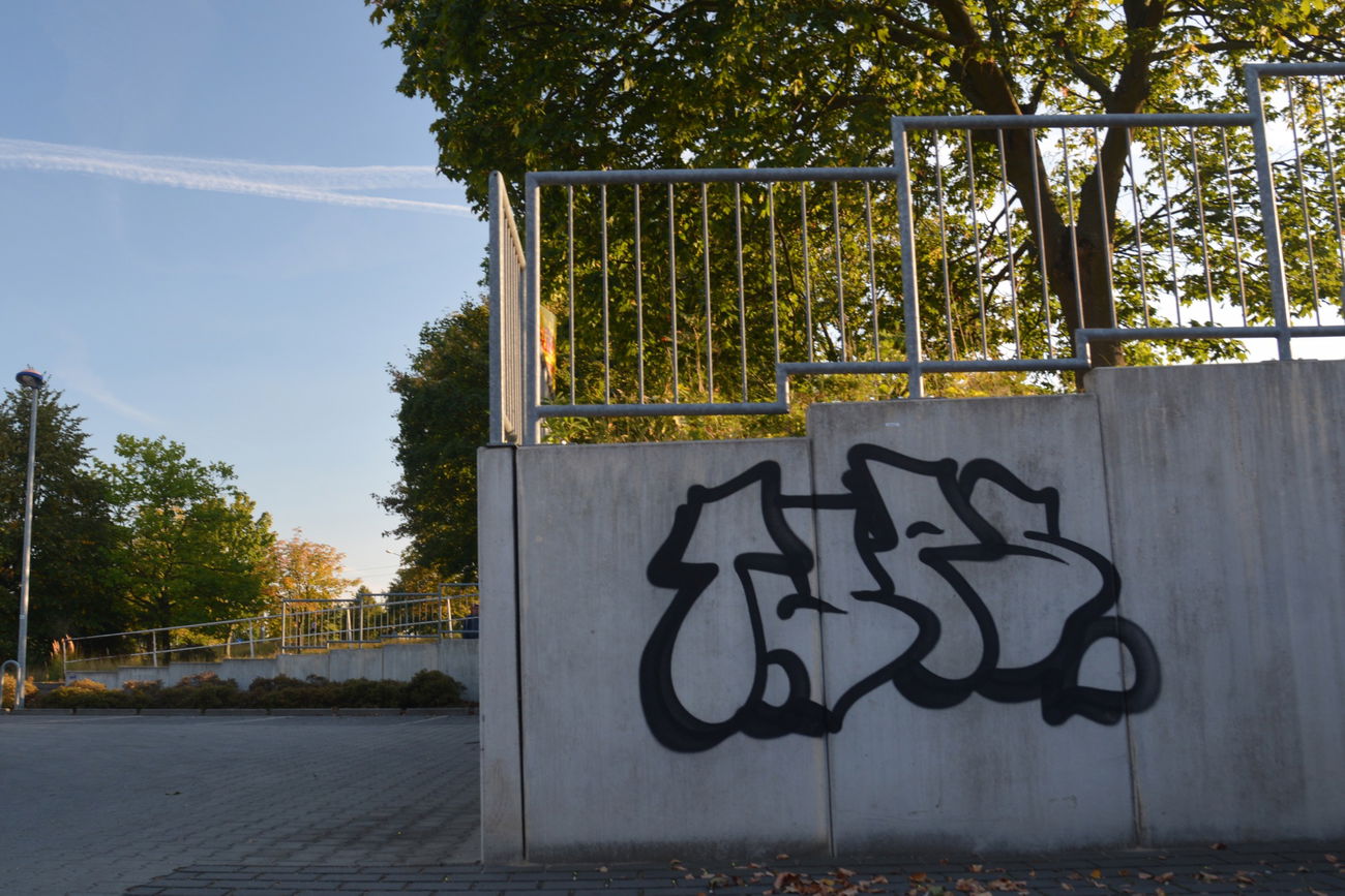 Graffiti Bombing in Frankfurt (Oder) - Photo by NOIIO3 - thisisatup, throwup, tups (2016)