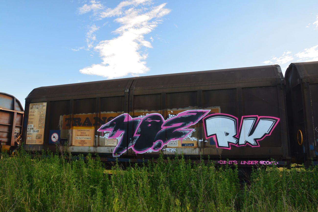 Graffiti Train - Photo by NOIIO3 - no2, nr2, number2 (2017)