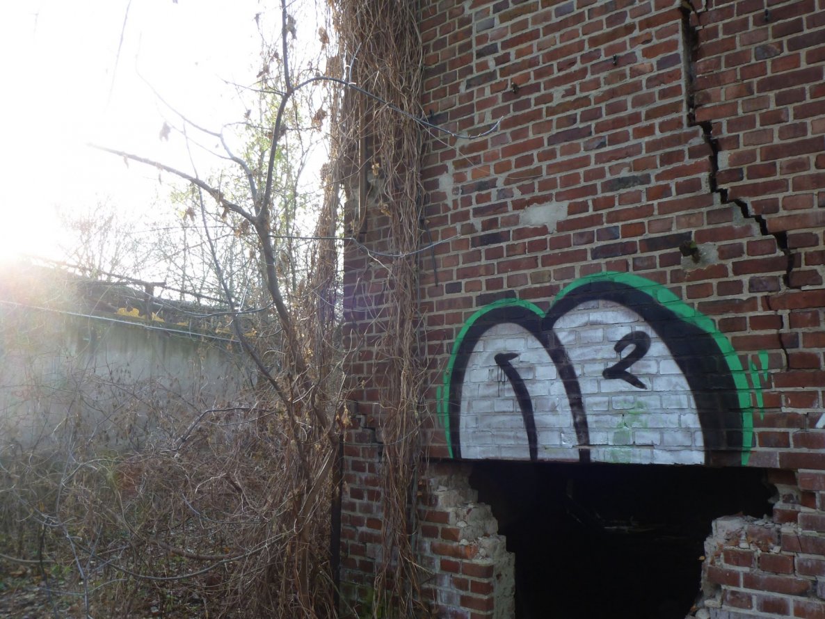 Graffiti Wall - Photo by NOIIO3 (2013)