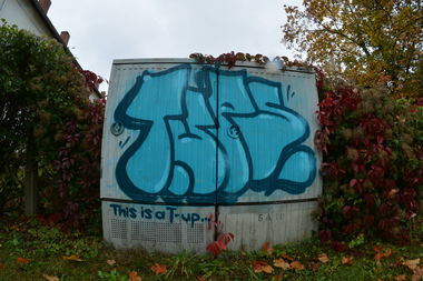 Graffiti Bombing - Photo by NOIIO3 - tups, tup, throwup (2016)