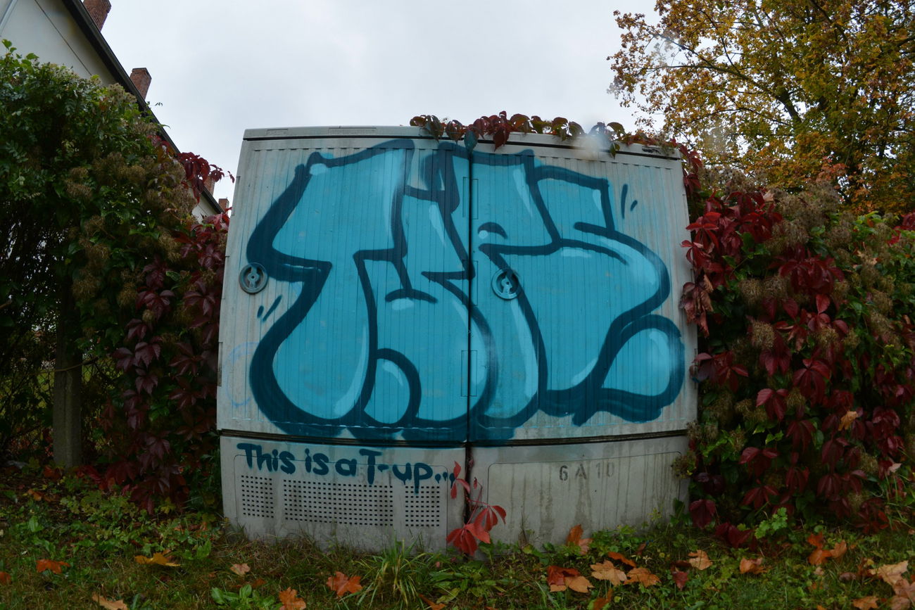 Graffiti Bombing - Photo by NOIIO3 - tups, tup, throwup (2016)