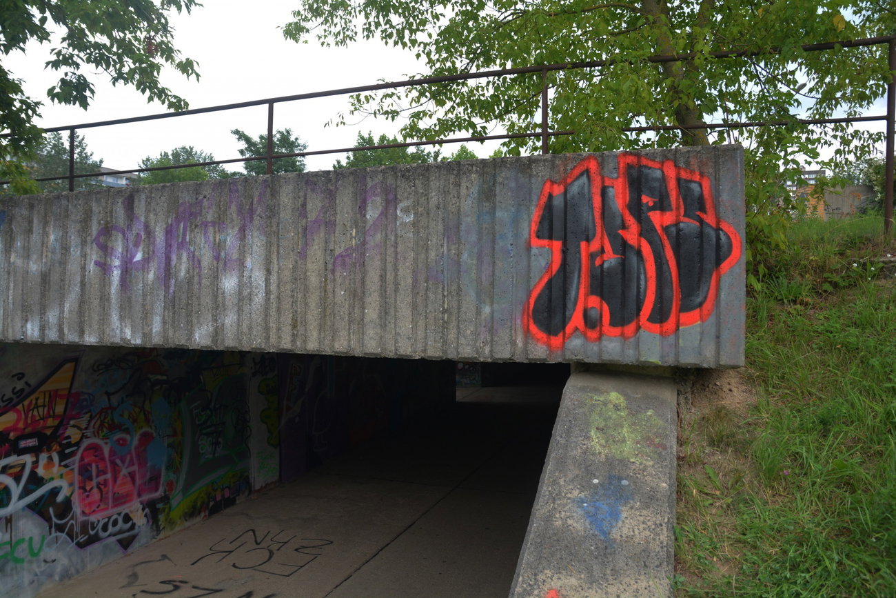 Graffiti Wall - Photo by NOIIO3 - tups, tup, t (2016)