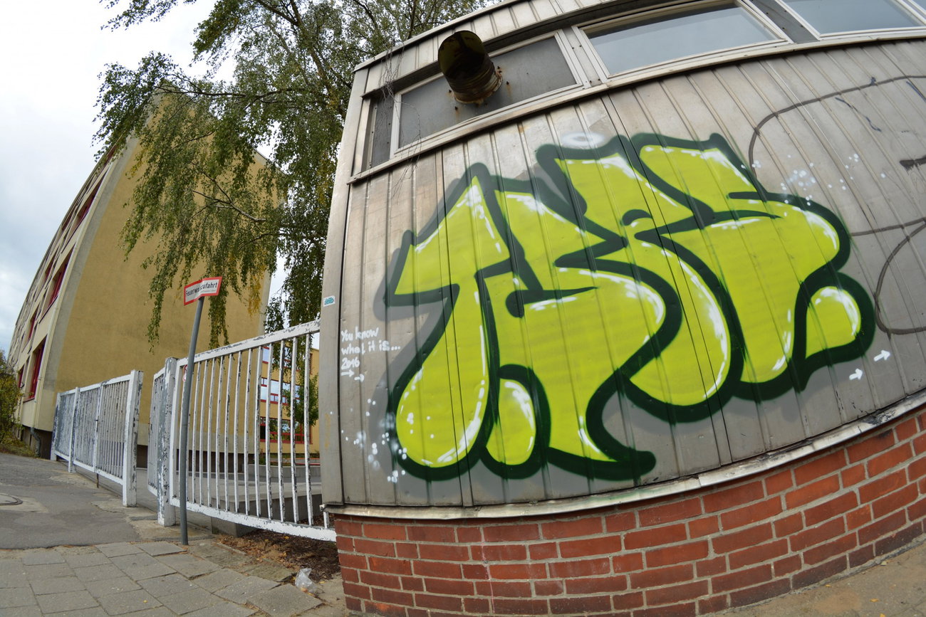Graffiti Wall - Photo by NOIIO3 - tups, tup, t (2016)