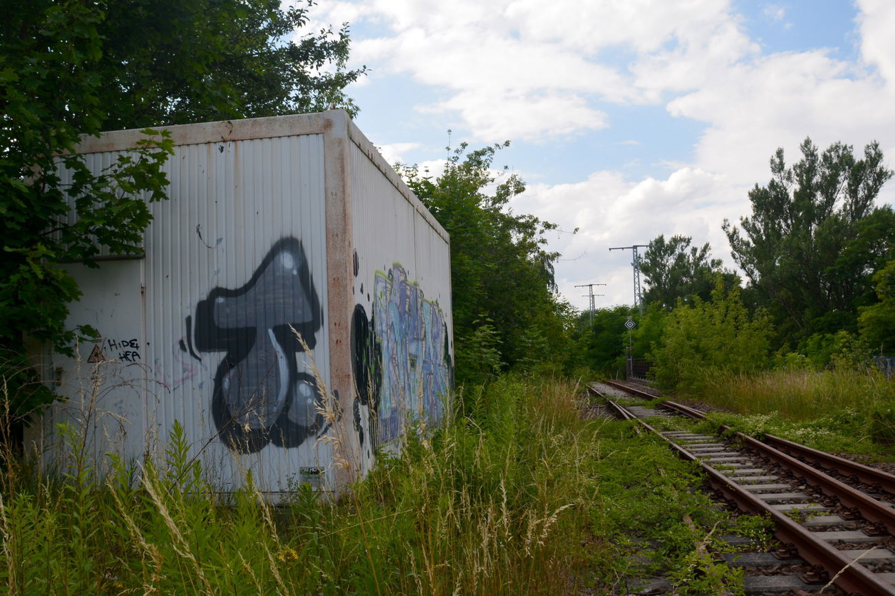 Graffiti Bombing - Photo by NOIIO3 - tup, tups, throwup (2016)