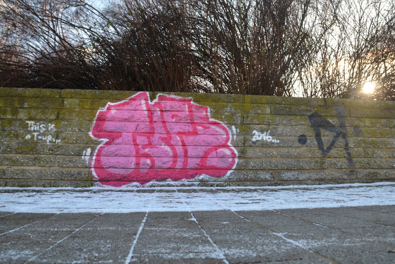 Graffiti Bombing - Photo by NOIIO3 - tups, throwup, thisisatup (2016)