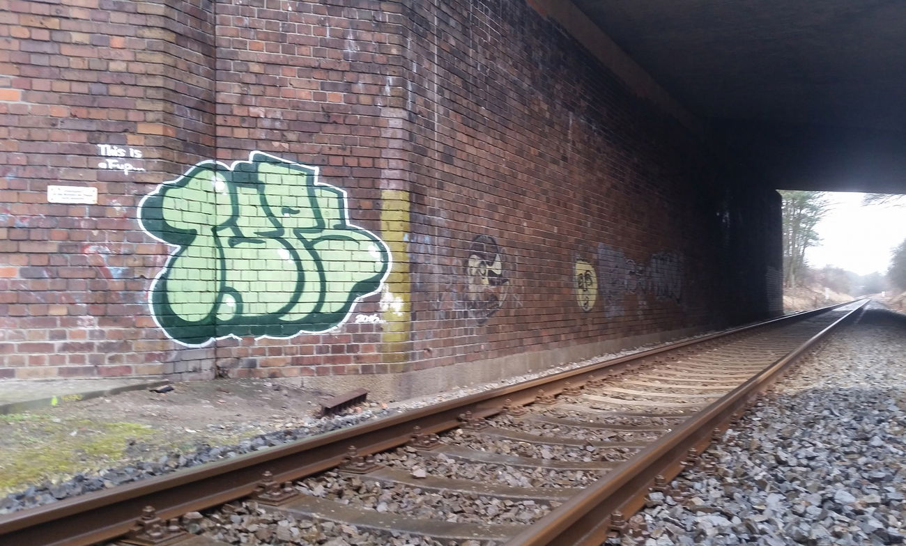 Graffiti in Frankfurt (Oder) - Photo by NOIIO3 - tups, thisisathrowup, throwup (2016)